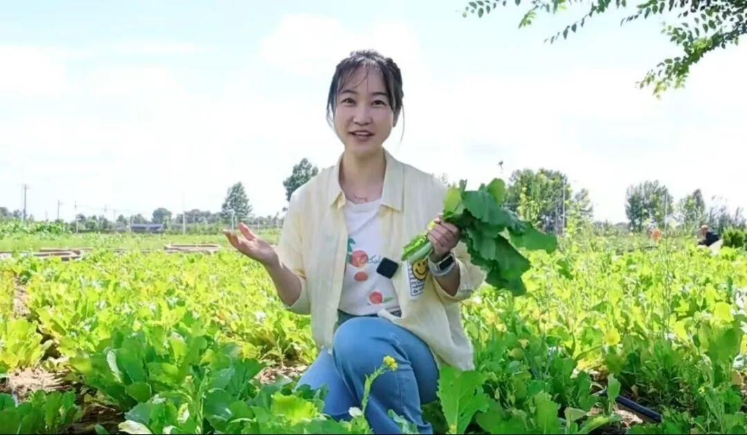 DB电竞(DBGame)官方网站